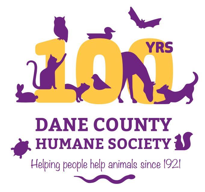  Dane County Humane Society: A Beacon of Hope for Animals in Need